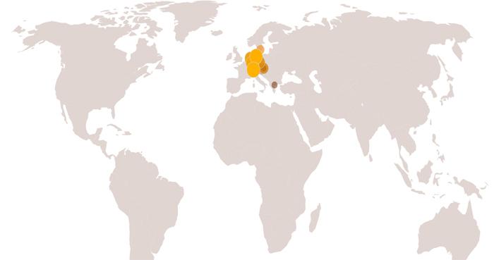 Live Besucher Übersicht