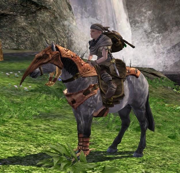 pony mit hoehenklauenmaske